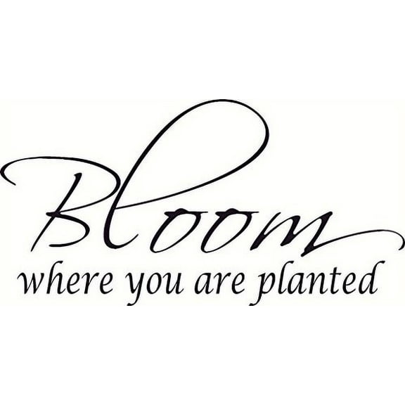 Bloom Where You Are Planted, Bible Verse Wall Decal Art. Our Christian Scripture Vinyl Decor Is Made in the Usa By a Small Family Owned Company.
