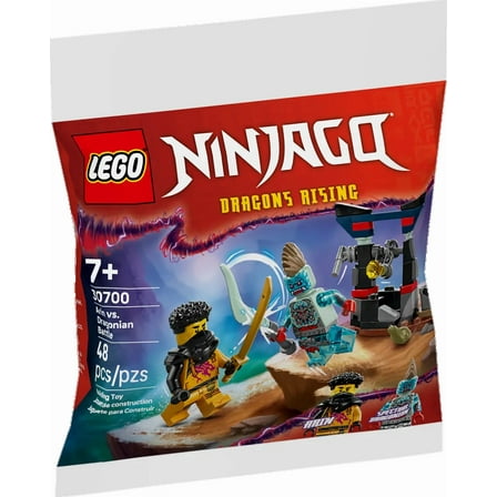 LEGO Ninjago Arin vs. Dragonian Battle 30700