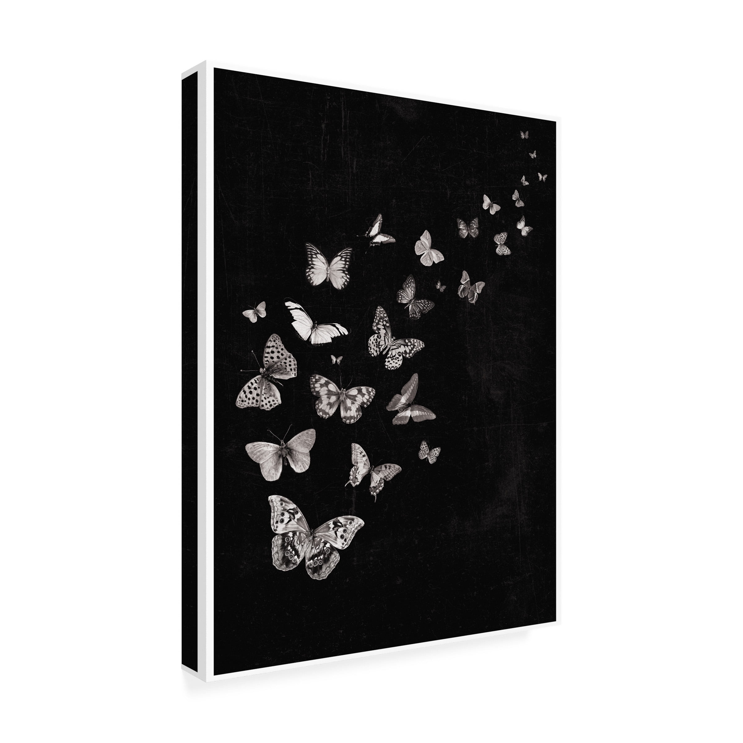 Canvas Wall Art - Tom Quartermaine 'Flying Butterflies Black and White Print' Wall Art for Living Room, Bedroom, or Office Décor by Trademark Fine Art - 24 x 32 Inches