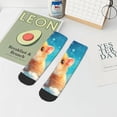 thumbnail image 7 of Pofeuu Cloud Cute Hamster Print 30cm Socks, Adult Running Hiking Socks for Youth and Adult, 7 of 7