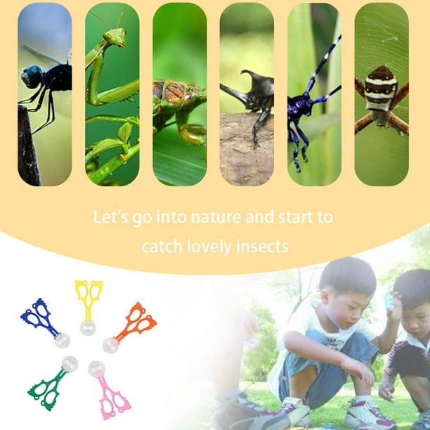 Pitrice 5pcs Bug Insect Catcher Scissors Handy Scoopers Clamp Plastic Tongs Tweezer Children Toy Set