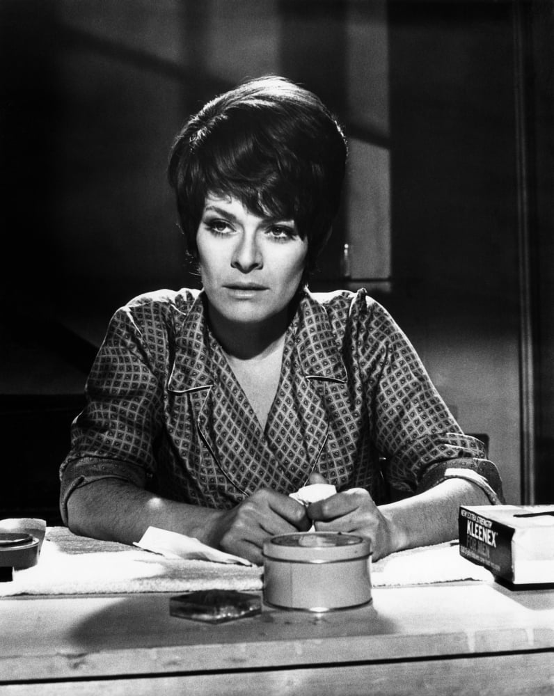 A Day In The Death Of Joe Egg Suzman 1972 Photo Print