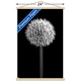 thumbnail image 3 of Tom Quartermaine - Black and White Dandelion Wall Poster with Wooden Magnetic Frame, 22.375" x 34", 3 of 3