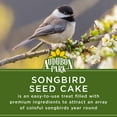 Audubon Park Songbird Seed Cake Wild Bird Food, Premium Pressed Bird