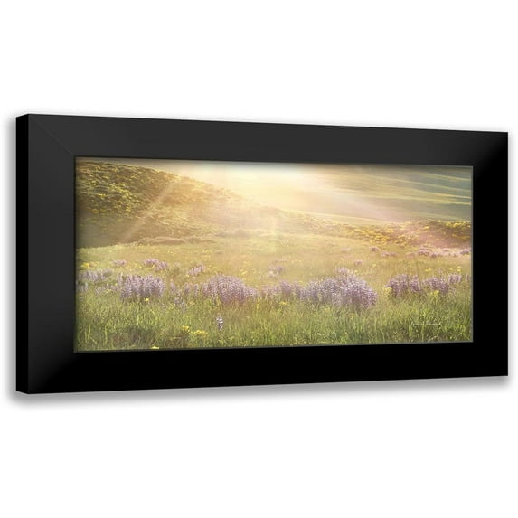 Murdock, Ramona 14x9 Black Modern Framed Museum Art Print Titled - Sunshine
