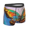 Daiia Oil Painting Beautiful Butterfly Men's Underwear Boxer Briefs