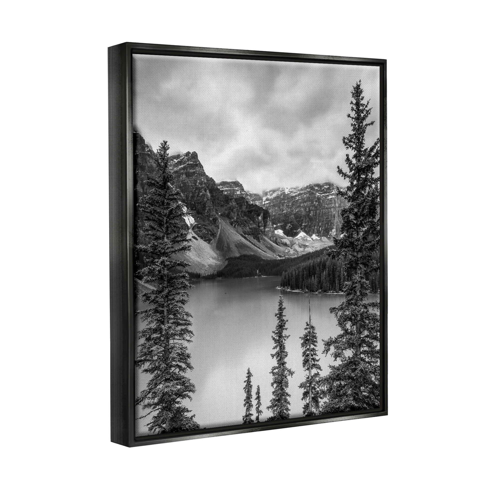 Stupell Industries Woodland Pond Scenery Landscape Photography Black Floater Framed Canvas Art Print Wall Art, 25 x 31