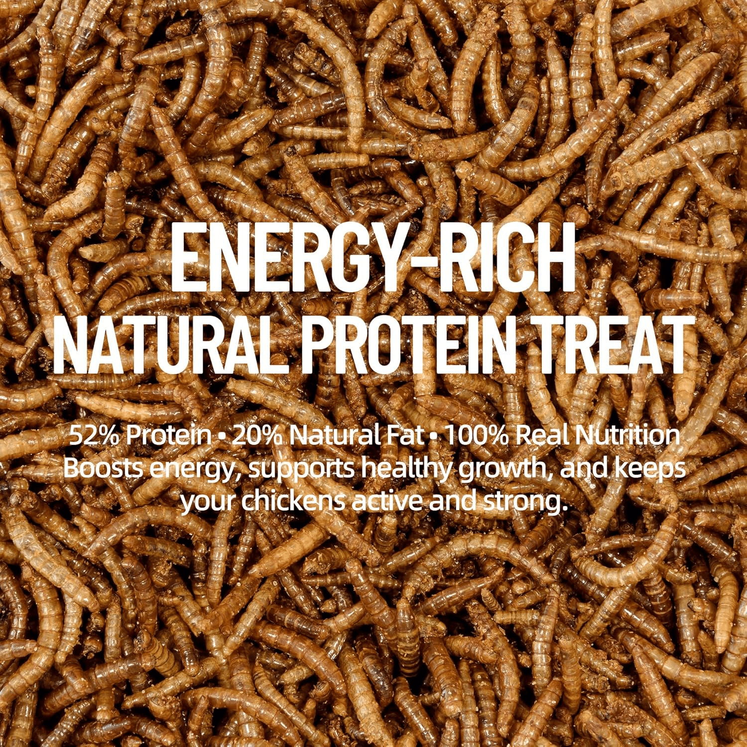 Joyprotyn 5LB Non-GMO Dried Mealworms - High Protein Natural Feed & Chicken Treats for Chickens, Ducks, Wild Birds, Quails & Reptiles - Support Egg Production & Feather Growth