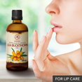 thumbnail image 3 of Aceite Orgánico Espino Amarillo Prensado en Frío Cuidado Intensivo Protección UV Anti-edad 100ml Bo, 3 of 9