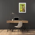 thumbnail image 3 of Illg, Cathy and Gordon 17x24 White Modern Wood Framed Museum Art Print Titled - TX, Hidalgo Co, Male painted bunting on stump, 3 of 4