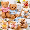 thumbnail image 3 of Peluche HyDren, 5 unidades, con forma de oso, 30 cm, estilo sudadera con capucha, 3 of 7