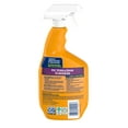 Arm & Hammer Pet Home Care Pet Stain Odor Eliminator 32oz
