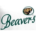 thumbnail image 2 of Women's White Bemidji State Beavers Dora Long Sleeve T-Shirt, 2 of 2