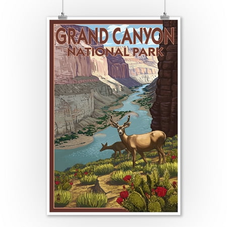 Grand Canyon National Park, Colorado - Deer Scene - Lantern Press Artwork (9x12 Art Print, Wall Decor Travel