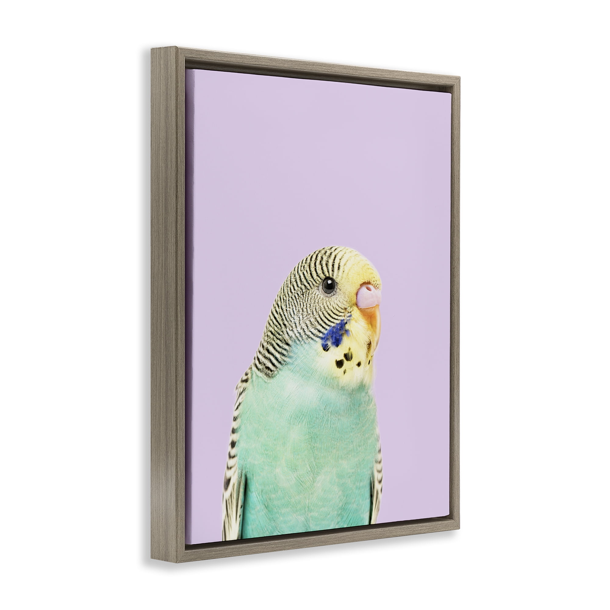 Stupell Industries Pastel Budgie Bird Animals Painting Brown Floater Framed Canvas Art Print Wall Art, 17 x 21
