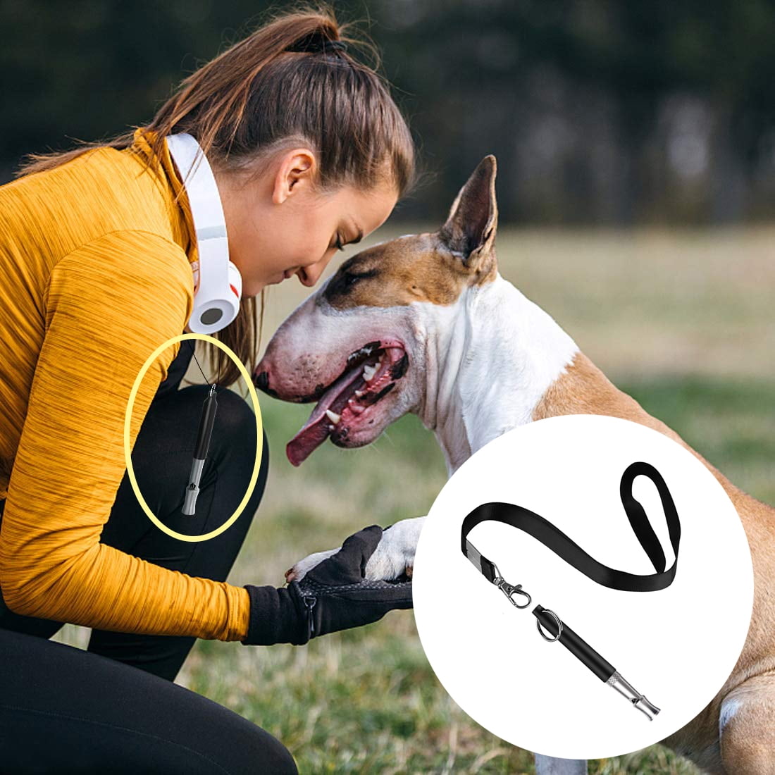 Silent Dog Bark Control Tool for Training Pets with Lanyard Strap Professional Ultrasonic High Pitch Adjustable Volume Dog Train Whistle to Stop Barking Black PAWABOO Dog Training Whistle 5 Pack 