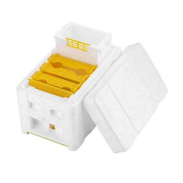 Bee Hive Beekeeping King Box Pollination Box Foam Frames Beekeeping Tool Kit