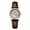 AW25905 Silver & Gold - Belt, variant on Women's Swiss Quartz Watch 28mm Mother of Pearl Dial, Sapphire Crystal, Czech Rhinestones, 316L Steel, 50M Waterproof Dress Watch, AW25905