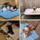 thumbnail image 5 of Summer Cooling Mat & Sleeping Pad- Water Absorption Top, Materials Safe, Easy Carry, EZ Clean. Keep Cooling for Pets, Kids and Adults.(Blue, 28" x 22"), 5 of 5