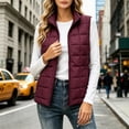 thumbnail image 2 of Byworldtasic Women's Lightweight Quilted Puffer Vest Stand Collar Zip Up Outerwear Sleeveless Jacket with Pockets, 2 of 8