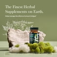 thumbnail image 3 of Gaia Herbs Stress Response Supplements - Supports Relaxation & Healthy Stress Response* - With Rhodiola, Holy Basil, Ashwagandha & More - 30 Vegan Liquid Phyto-Caps (15 Servings), 3 of 9