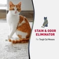 thumbnail image 3 of Nature’s Miracle Advanced Stain and Odor Eliminator Cat, 32 Ounces, 1 Gallon, Pour, Fresh Scent, Severe Mess Enzymatic Formula For Tough Pet Messes, 3 of 8