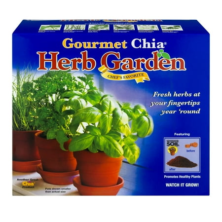 As Seen on TV Chia Pet Herb Garden
