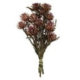 thumbnail image 1 of Vickerman H1PMF580 8-20 Po. Orchidée Pourpre Plumosum Ensemble - Préservé 8 Têtes, 1 of 1