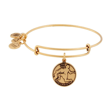 UPC 886787068194 product image for Alex And Ani Aquarius II Gold Expandable Bangle A13EB01AQRG | upcitemdb.com