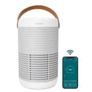 Homedics Wi-Fi Enabled Smart Air Purifier, 1005 Sq. Ft of Coverage/Hour. True HEPA Filtration, Activated Carbon Filter, Pre-filter, Reduces Bacteria, Virus, Mold, Odors, Medium Rooms, AP-T100GY-WMT