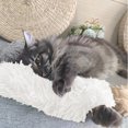 thumbnail image 2 of BESTSKY 2Pcs Interactive Cat Toy,Comforting Texture Interactive Cat Toys,Safe Cats Chew Kitten Toys,White,30.5cm, 2 of 5