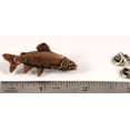 thumbnail image 2 of Rainbow Trout Pin, FC002, 1 1/2" Lapel Pin, Hat, Pins, Brooch, Brooches, Jewelry, Gift, Fishing, Salmonoids, 100% Handmade in the USA, 200 Fish Designs Available, 2 of 7