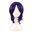 thumbnail image 1 of LinYooLi 16 Inch/40 cm Short Side Bangs Synthetic Fiber Cosplay Layered Wig (White/Azure Blue), 1 of 4