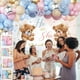 thumbnail image 4 of Cajas para bebés Gender Reveal con globos, 158 unidades, BIENAN, 4 of 7