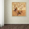 thumbnail image 3 of Trademark Fine Art 'Two Orange Birds' Canvas Art by Rachel Paxton, 3 of 3
