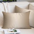 thumbnail image 2 of Beige Ombre Small Pillow Covers, Modern Gradient Abstract Art Soft Breathable Throw Pillow Cases with Invisible Zipper, Decorative Pillowcase Pillows Protectors for Sofa Bed Chair 12"x20", 2 of 9