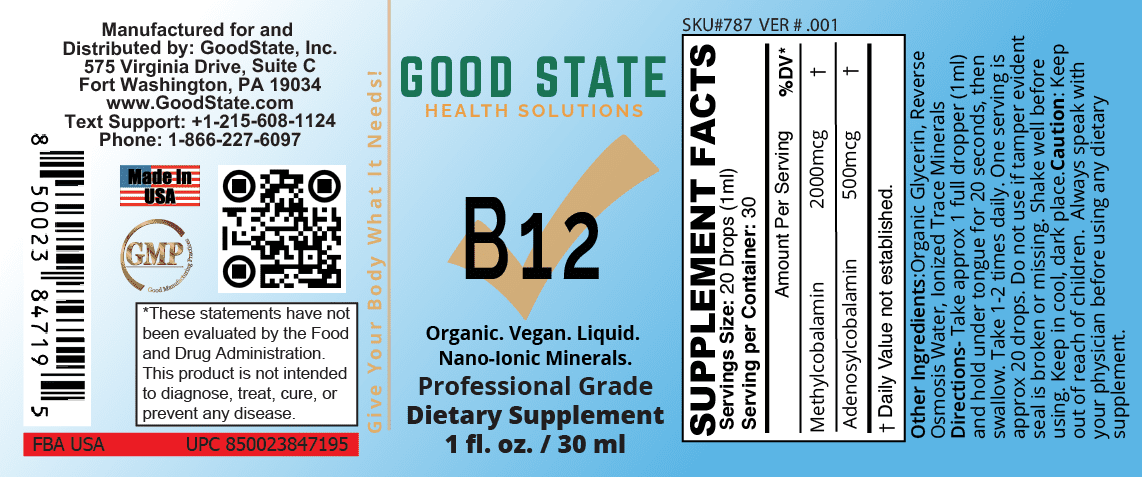 Good State Vitamin B12 Vegan Liquid, 1 Fl Oz – Supports Energy Production and Nervous System Health