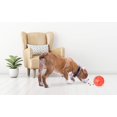 thumbnail image 2 of Pelota interactiva para premios Omega Paw Tricky Treat Ball mediana naranja, 2 of 7