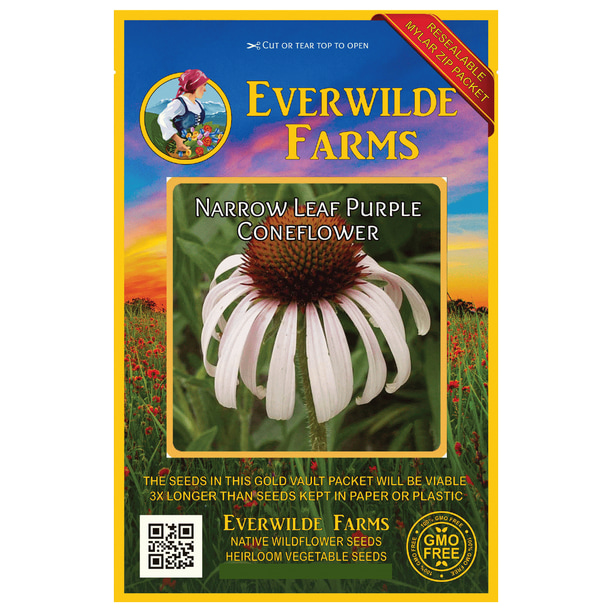 Everwilde Farms 200 Narrow Leaf Purple Coneflower Native Wildflower