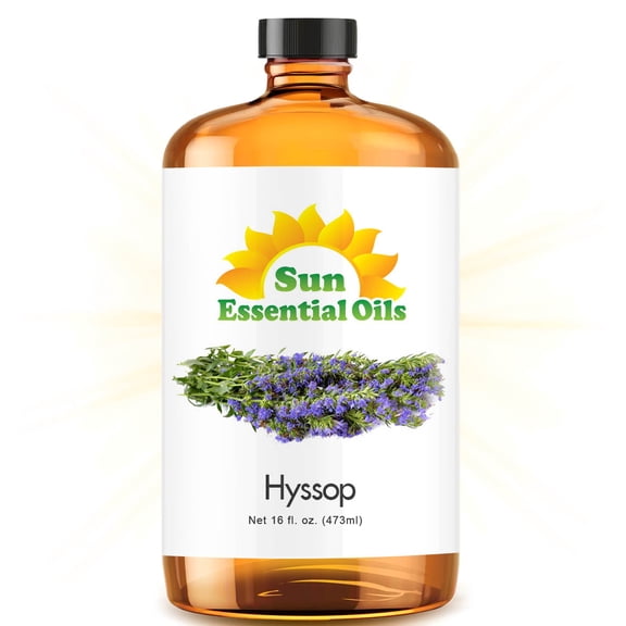 Sun Essential Oils 16oz - Hyssop Essential Oil - 16 Fluid Ounces