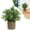 B, variant on 1PC Artificial Potted Plants, Realistic Faux Greenery in Cement Pots for Home Office Desk Bookshelf Decor, Small Fake Plants for Indoor Tabletop Decoration