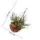 thumbnail image 2 of BESTYASH Cesta Colgante De Pino Artificial Para Navideña En Puerta Y Porche, 2 of 6