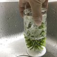 thumbnail image 4 of Brush-Up Glass Brush with Suction Cup Upright Stays in Sink Bristle Scrub Kitchen Bottle Cleaning Washing Green (Multi), 4 of 13