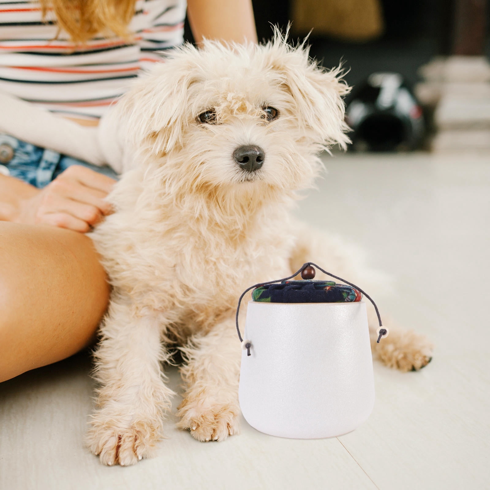 DINHEAROM Dog Box For Ashes Pet Memorial Urn White Ceramics 1Pack Portable