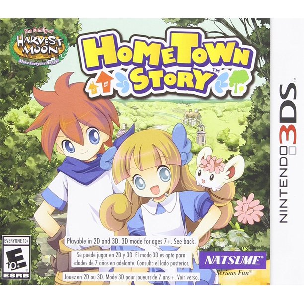 3DS Hometown Story