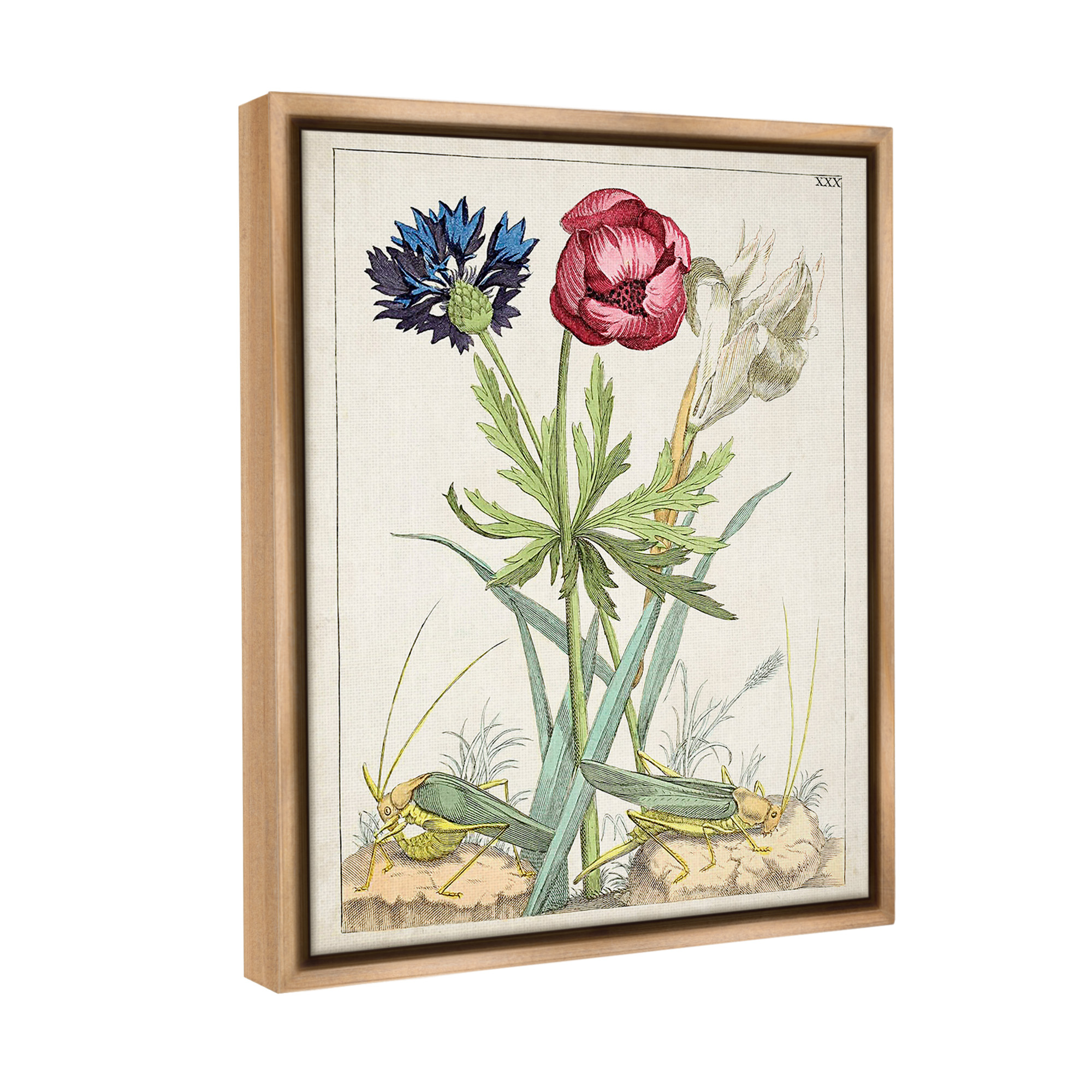Stupell Industries Blooming Bulbs & Grasshoppers Botanical & Floral Painting Brown Floater Framed Canvas Art Print Wall Art, 17 x 21