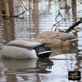 thumbnail image 4 of Greenhead Gear Pro-Grade Duck Decoy,Mallards/No-Head Feeder Pack,Pair, 4 of 4