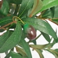 thumbnail image 4 of vidaXL Artificial Bay Tree Plant with Pot 49.2" Green, 4 of 5