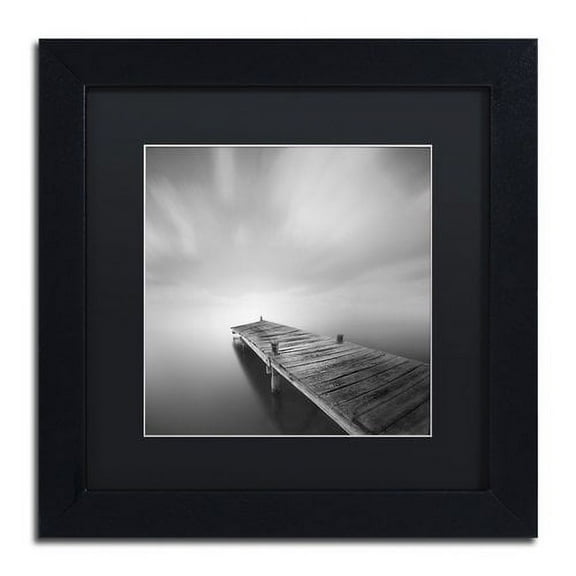 Trademark Fine Art "Destiny IVb" Canvas Art by Moises Levy Black Matte, Black Frame