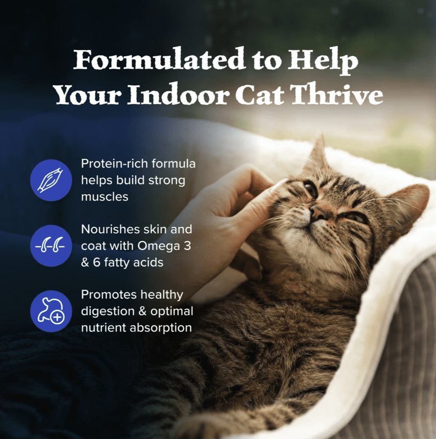 Blue Buffalo Wilderness Chicken High-Protein Grain-Free Adult Indoor Dry Cat Food, 11 lb (2 Pack)